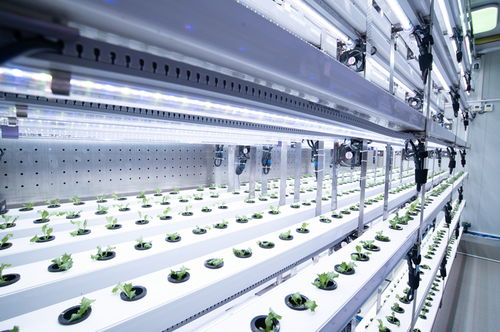 跨越星海 90后博士團(tuán)隊(duì)如何接過馬斯克兄弟的挑戰(zhàn)，用科技信息咨詢點(diǎn)燃創(chuàng)新引擎